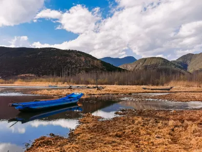BigWins Cazino Cazinou Aplicație mobilă